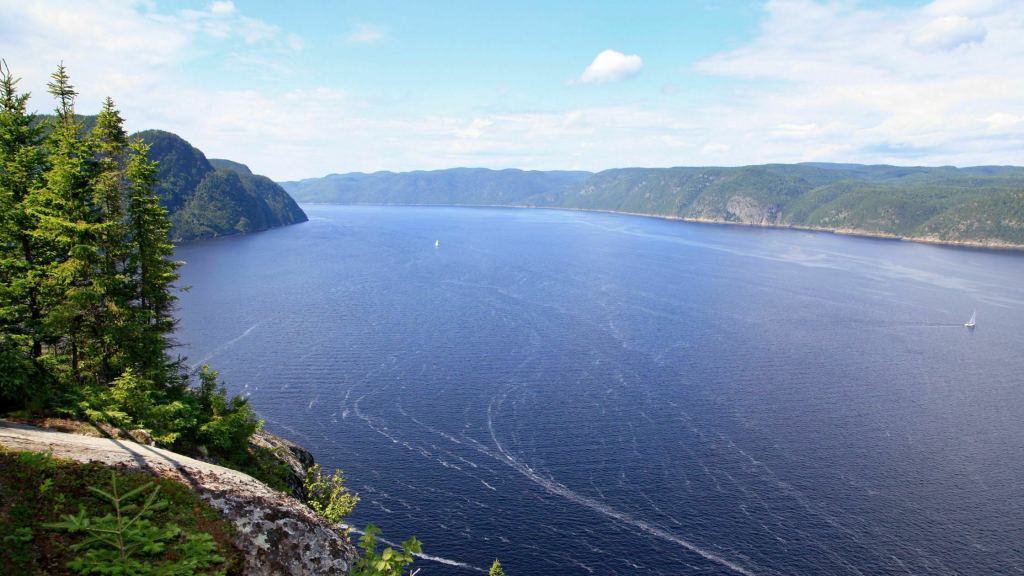 Parc national du Fjord-du-Saguenay  Québec  La petite famille V