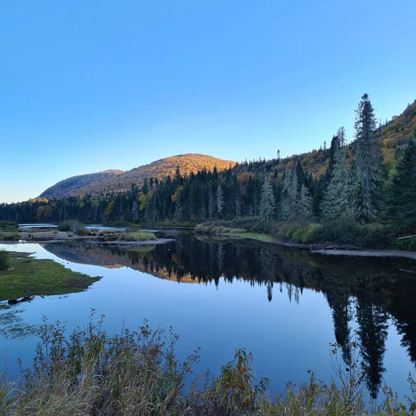 Parc national Jacques Cartier La tourbière - La petite famille V