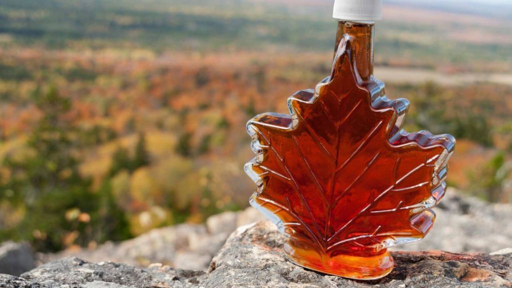 SIROP D’ERABLE CANADA - La petite famille V